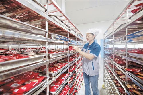 道真 做強(qiáng)做優(yōu)產(chǎn)業(yè)鏈，賦能附著式升降腳手架高質(zhì)量發(fā)展